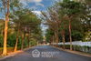 listing thumbnail image 28