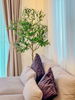 listing thumbnail image 5