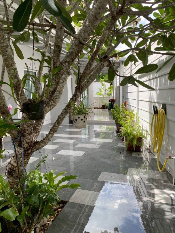 picture Urgent Sale!! 2-Storey Single House at The Tree Village, Nong Kham-Sriracha - 5/15