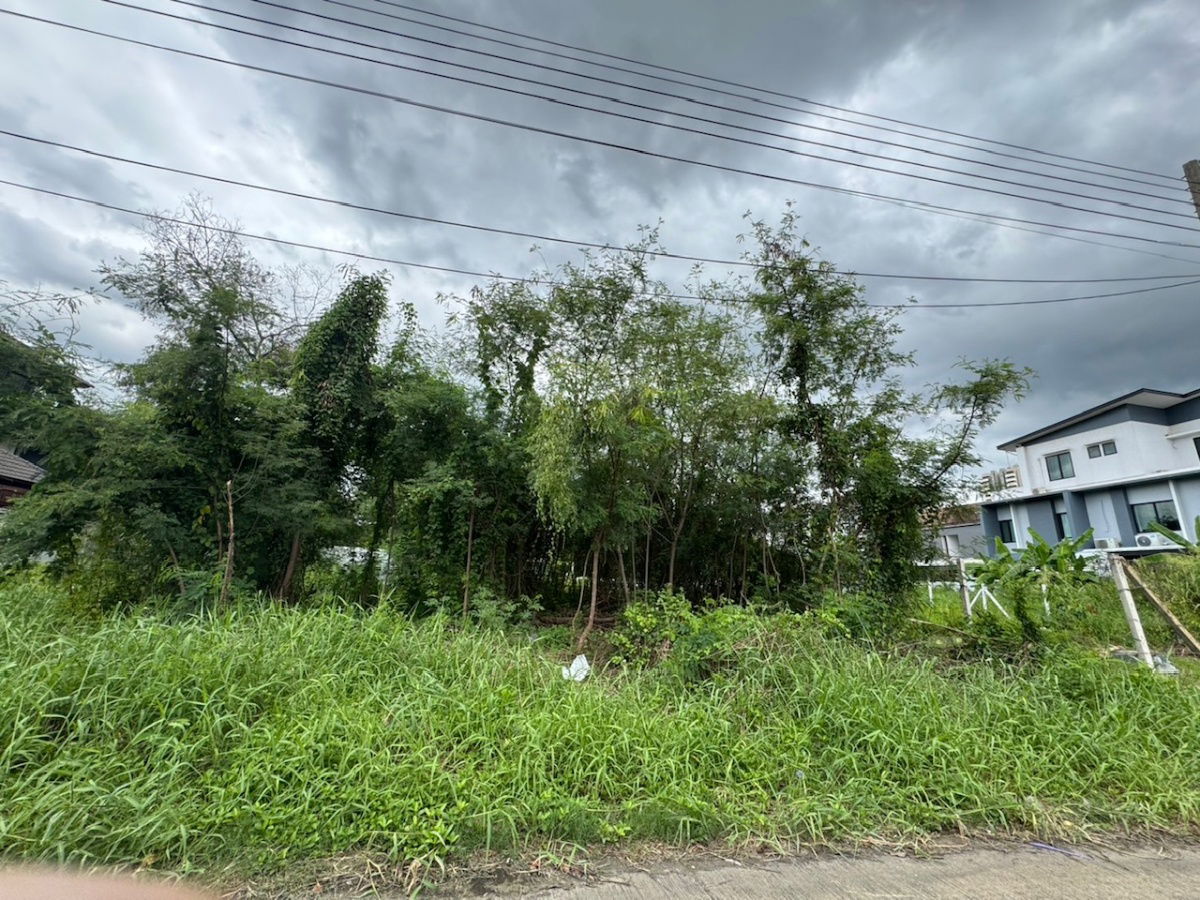 รูป ที่ดินเปล่าในเมืองทอง ถมแล้ว เดินทางสะดวก - รูปที่ 2/13