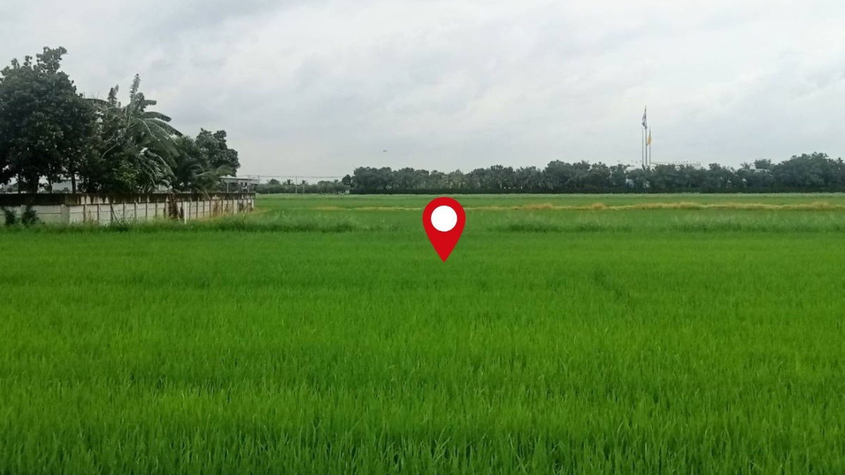 picture Urgent Sale: A large land plot of 3-3-39.4 rai in Lam Luk Ka, Khlong 6, with an exceptionally wide frontage.  - 3/9
