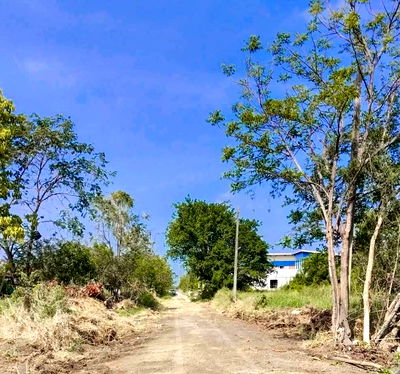 Land for sale : Land behind Rajamangala University of Technology Klong 6