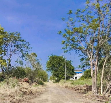 Land behind Rajamangala University of Technology Klong 6