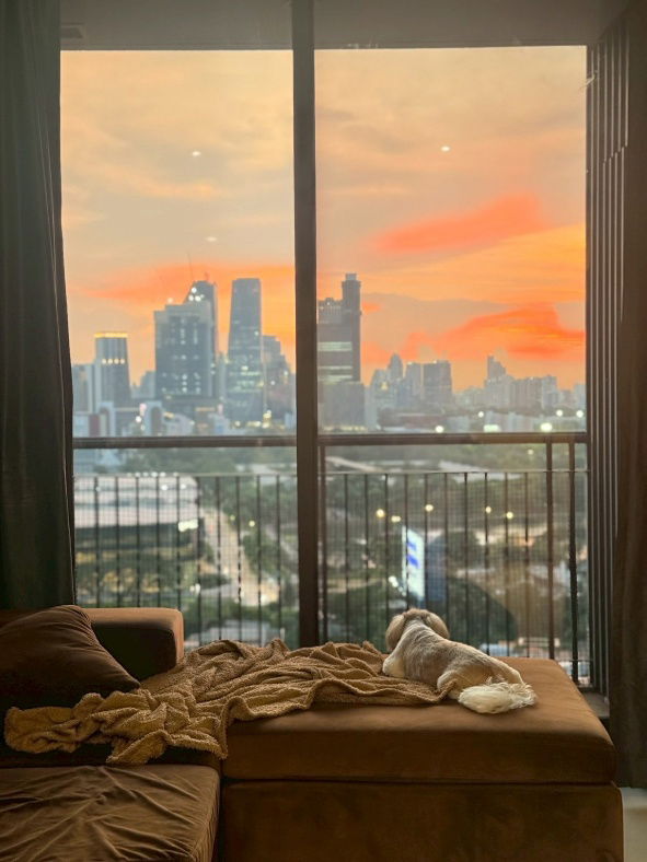 picture Urgent Sale‼️ Aguston Sukhumvit 22 Condo – Pet Friendly - 1/25