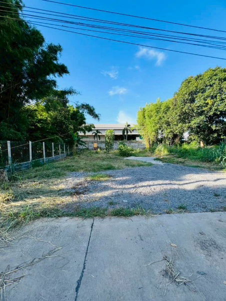 picture Land for sale, community area, Sakkho-Nongkham line, Sriracha, Chonburi - 6/8