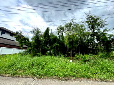 ที่ดิน เซฟวัน โก ศรีสมาน : ที่ดินเปล่าในเมืองทอง ถมแล้ว เดินทางสะดวก