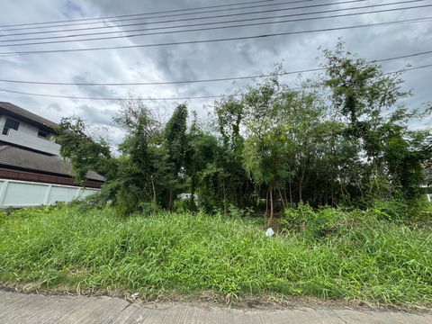 75 SQ.WA(300 SQ.M)In Muangthong Thani for sale