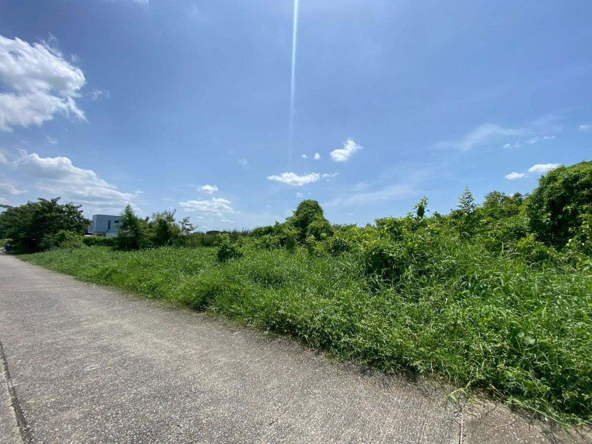 รูป 94793 ขายด่วน! ที่ดินเปล่า 200 ตร.ว. หมู่บ้านปิ่นทองแลนด์ แฟคทอรี่ อ.บางบัวทอง จ.นนทบุรี - รูปที่ 6/9