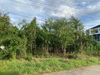 listing thumbnail image 3