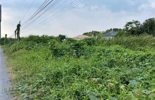 รูป ขาย ที่ดิน ม. สหกรณ์การบินไทย 346 ตรว แจ้งวัฒนะ-ปากเกร็ด 43 เข้าซอยเพียง 350 ม. ใกล้ สถานี เมืองทองธานี - รูปที่ 3/5