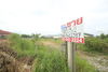 listing thumbnail image 11