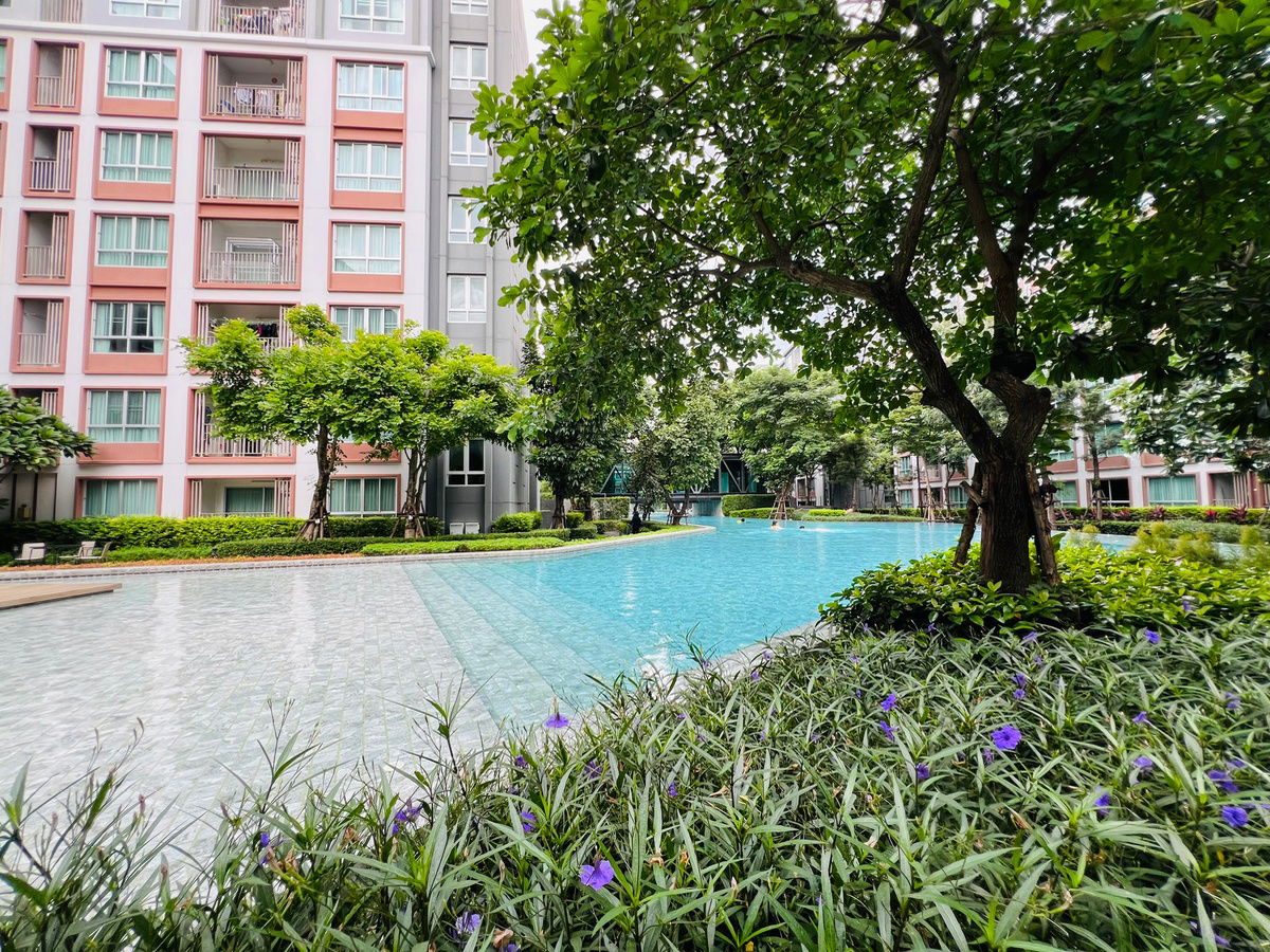 picture ✅For sale: D Condo Pink, pool view, 37 sq m, 8th floor, Building B, beautiful room ☎️064-792-4426 (Ben) - 23/30