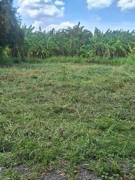 picture Land behind Rajamangala University of Technology Klong 6 - 3/8