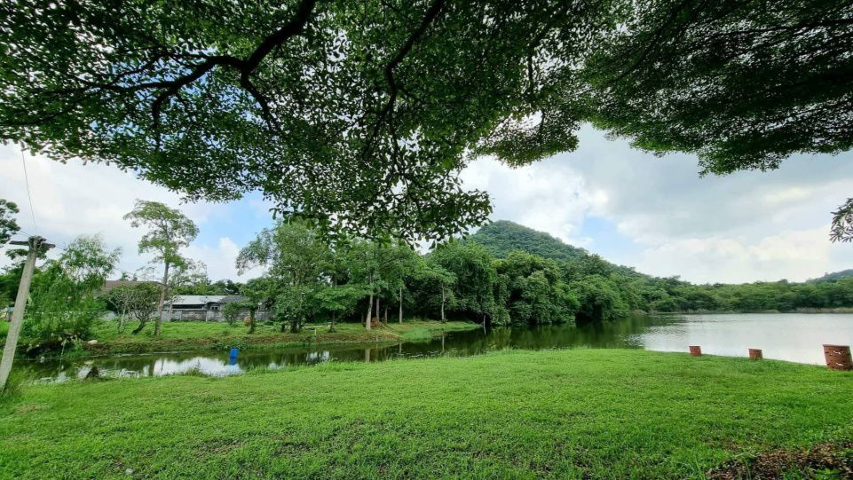 รูป ขายที่ดินติดน้ำ 27 ไร่ อำเภอเมือง ดอนตะโก ราชบุรี ที่ดินวิวเขาติดน้ำสวยมาก ใกล้เส้นเพชรเกษม 1.4 กม. ใกล้เขาแก่นจันทร์ แยกห้วยไผ่ ขายถูก 0879074045 - รูปที่ 4/5