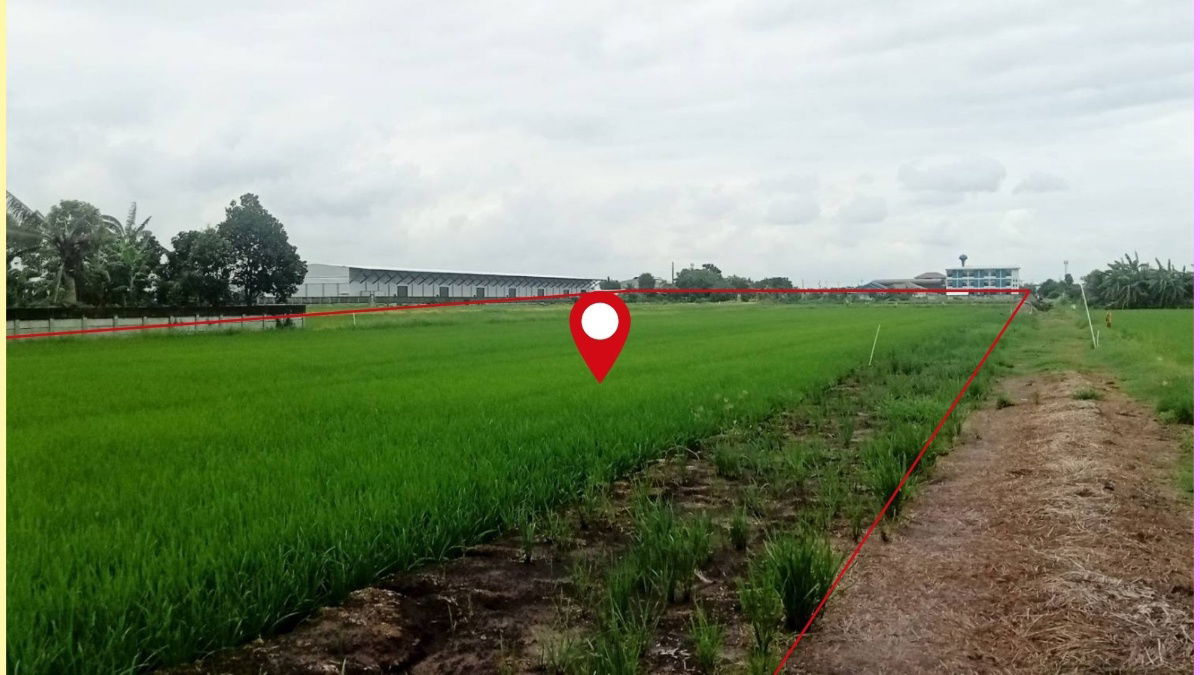 picture Urgent Sale: A large land plot of 3-3-39.4 rai in Lam Luk Ka, Khlong 6, with an exceptionally wide frontage.  - 5/9