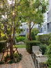 listing thumbnail image 18