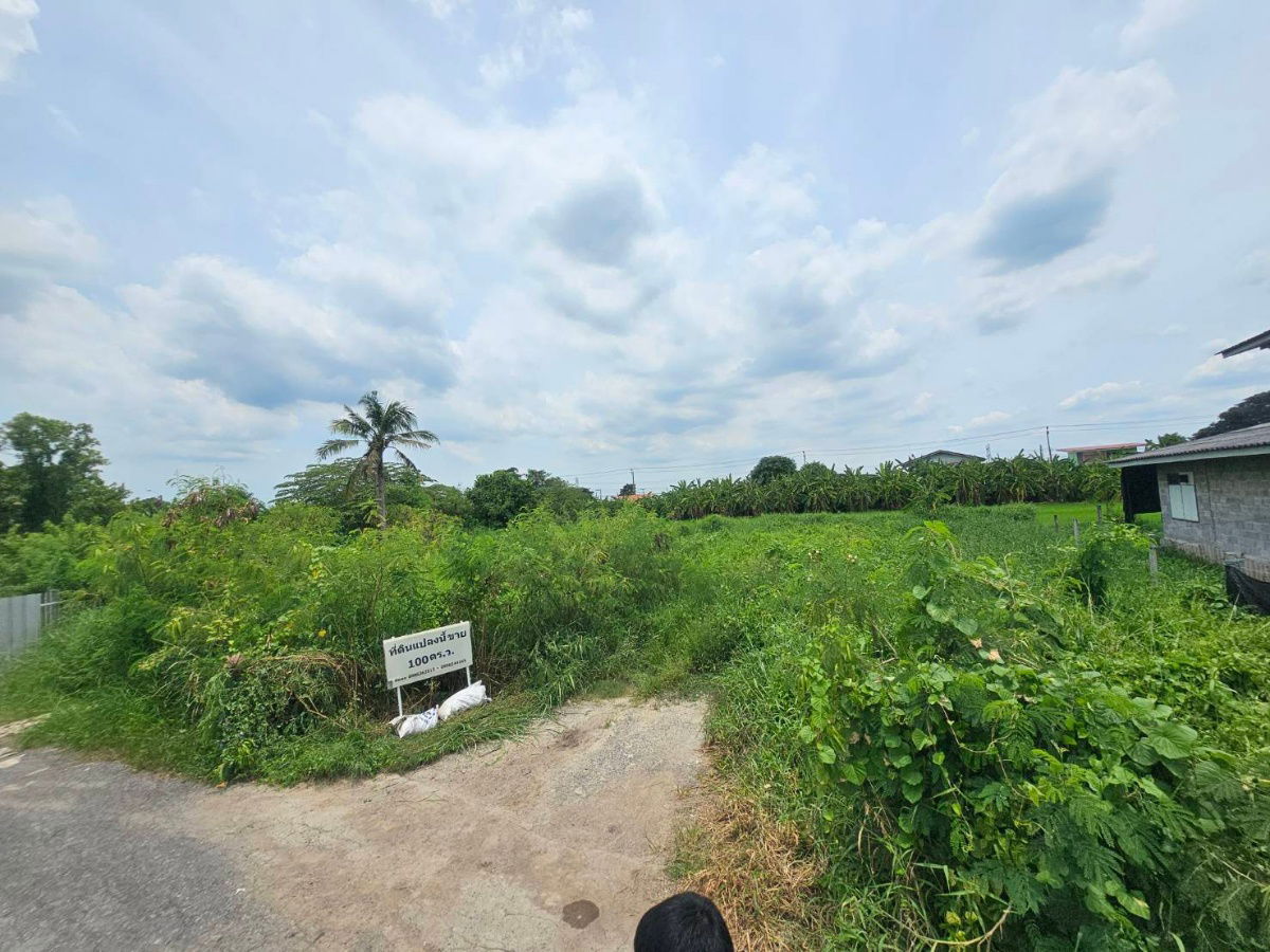 รูป ขายที่ดิน 100 ตรว ซ.ราษฎร์อุทิศ 70 - รูปที่ 4/6