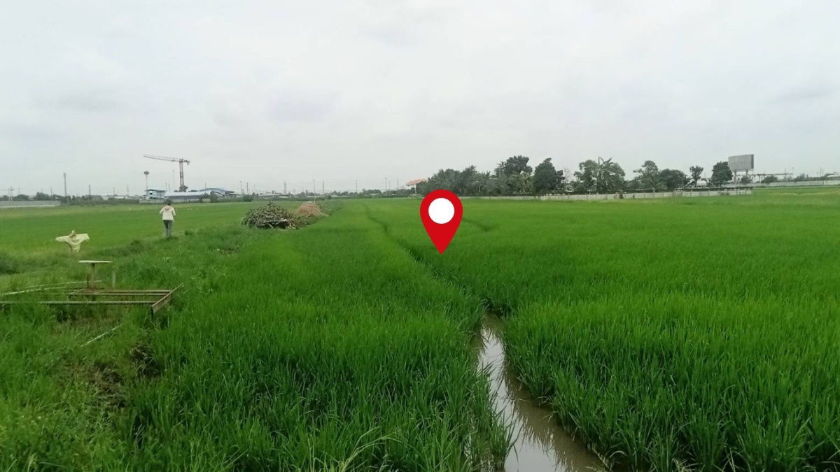 picture Urgent Sale: A large land plot of 3-3-39.4 rai in Lam Luk Ka, Khlong 6, with an exceptionally wide frontage.  - 4/9