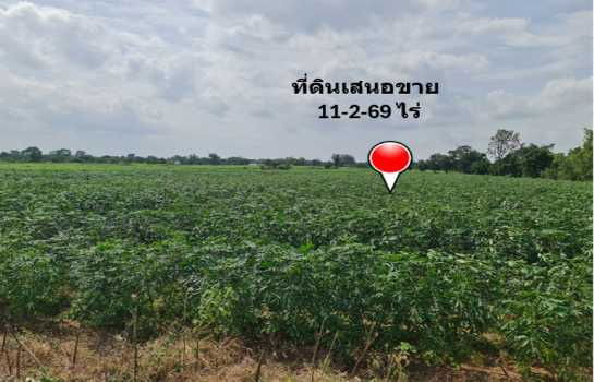 รูป ขาย ที่ดิน ย่านชุมชนบ้านบุ่งตะแบก อ.โนนไทย จ.นครราชสีมา ห่างจากถนนคอนกรีตเพียง 300 เมตร เนื้อที่ 11 ไร่ 2 งาน 69 ตรว ฟรีโอน ผังเมืองสีเขียว - รูปที่ 8/8