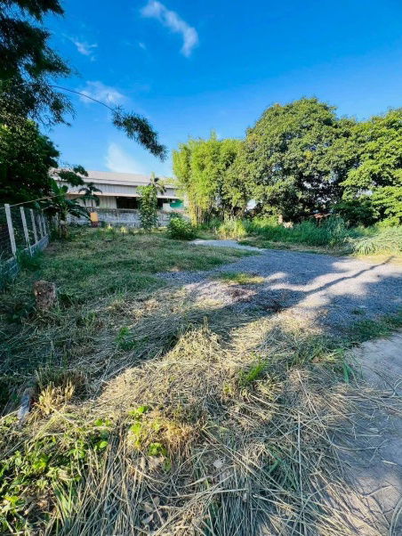 picture Land for sale, community area, Sakkho-Nongkham line, Sriracha, Chonburi - 4/8