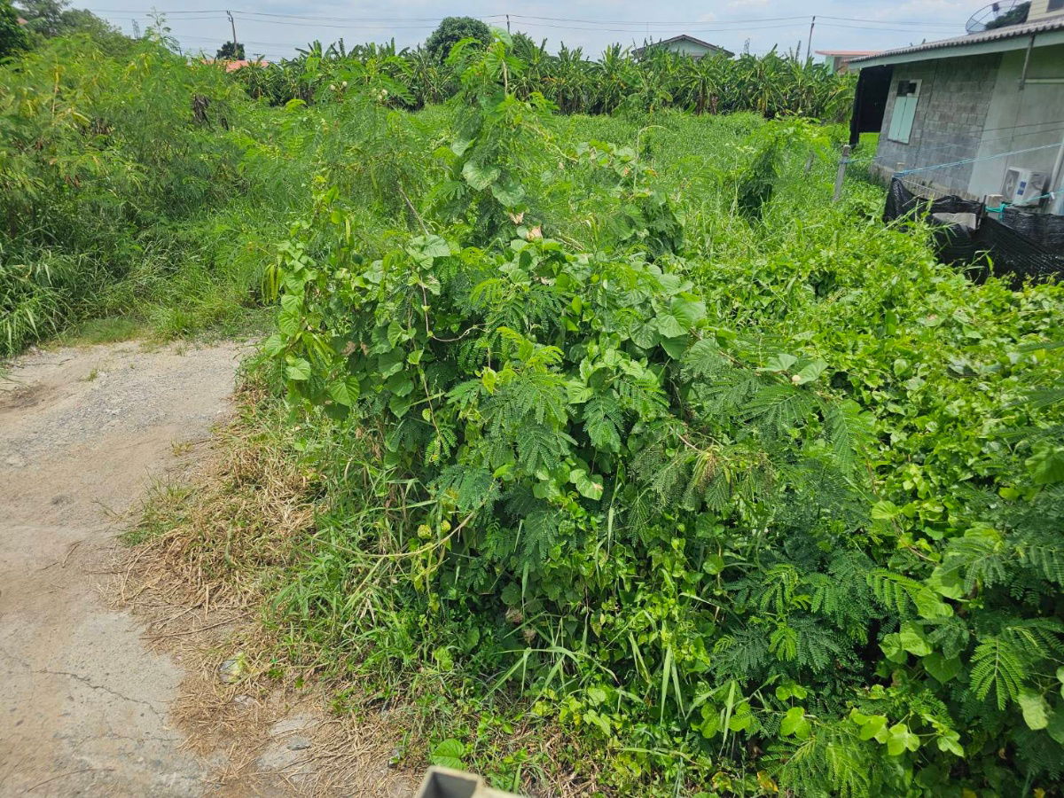 รูป ขายที่ดิน 100 ตรว ซ.ราษฎร์อุทิศ 70 - รูปที่ 1/6