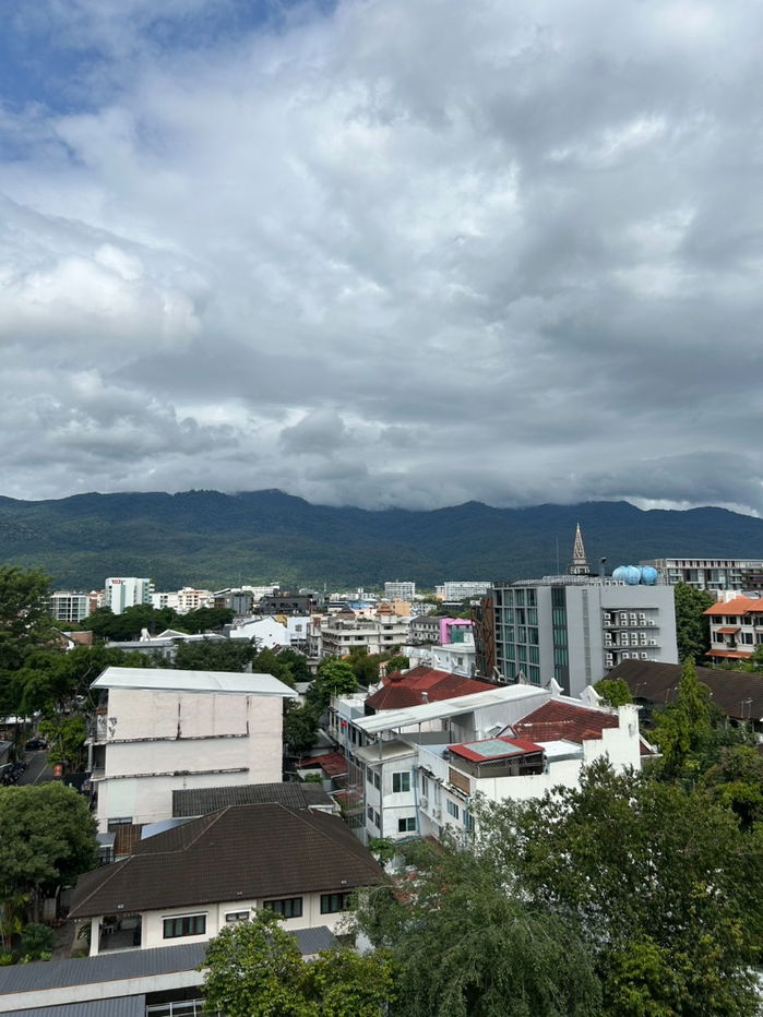 picture  *Palm Springs Nimman Areca CONDO with mountain view Tel. 082-3899314 (Boo) - 13/18