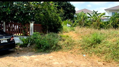 Land for sale Muang Nonthaburi Nonthaburi : "For sale: 100 sq m of filled land in Bang Rak Noi subdistrict, Mueang Nonthaburi district, Nonthaburi province." This translates to: in Thai.