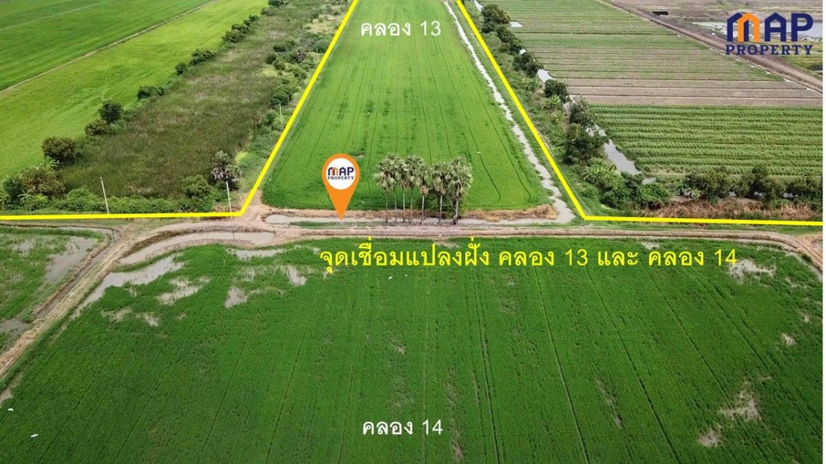picture Large plot of land for sale, road access on both sides, 290 rai - 6/12