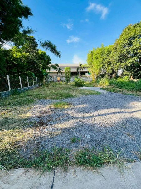 picture Land for sale, community area, Sakkho-Nongkham line, Sriracha, Chonburi - 5/8