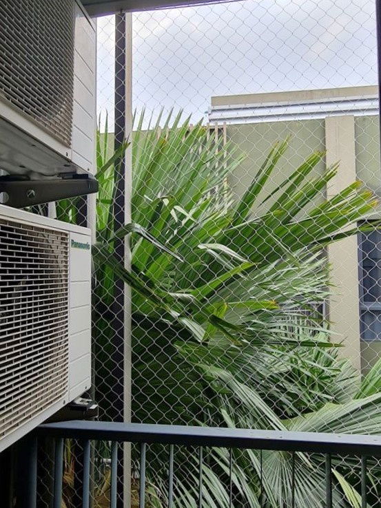 picture 🥳[Rent-RAR2508-2116] The Tree Privata. Fl.5*Washing machine *Near MRT Bang Po💚Line id: @thefirstagent** - 13/14