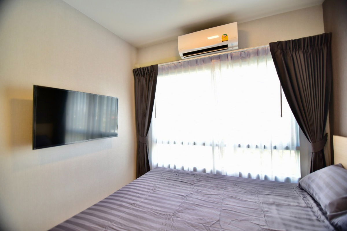 picture Plum Condo Rangsit Alive for rent - 3/22