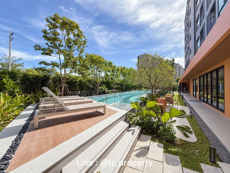 picture For Rent : dcondo sense BangSaen 10,000/month - 14/18