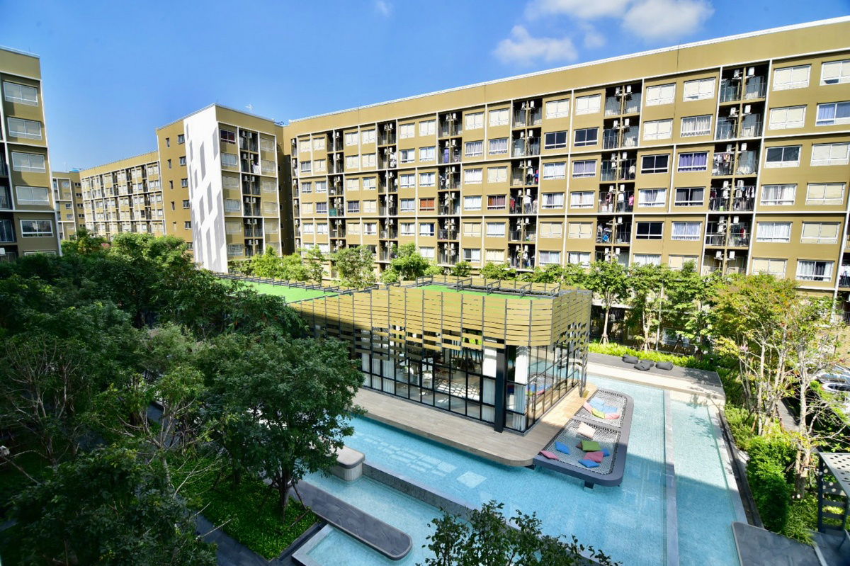 picture Plum Condo Rangsit Alive for rent - 4/22