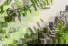 listing thumbnail image 19