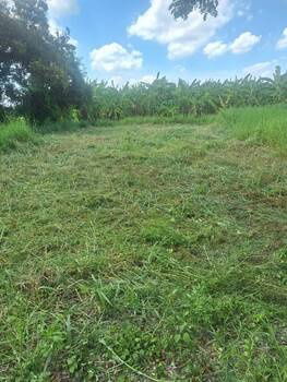 picture Land behind Rajamangala University of Technology Klong 6 - 8/8