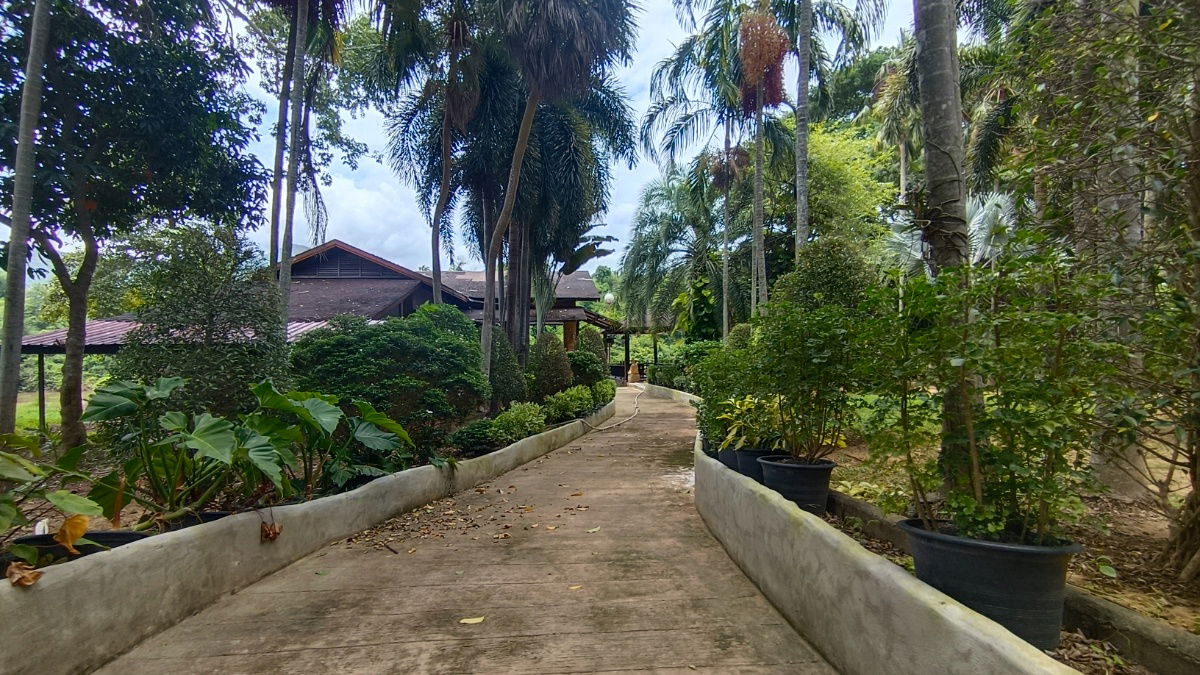รูป โอกาสทองของนักลงทุน และผู้ที่มองหาที่ดินเพื่อการพักผ่อน ที่ดินวิวภูเขา - รูปที่ 12/15