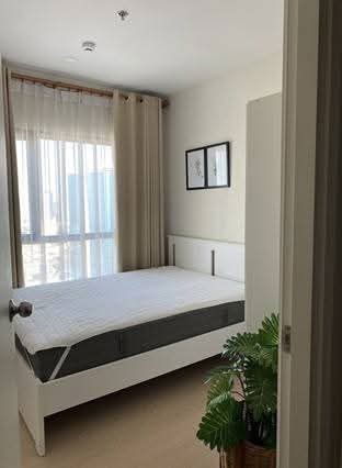 รูป The Tree Sukhumvit 71 - Ekkamai 🌟✨ 1 นอน 27 ตร.ม. ค่าเช่า 13,000 - รูปที่ 2/7