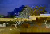 listing thumbnail image 4