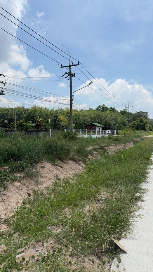 picture Land for Sell Rayong 19 Rai 3ngan, and 60 square wah in Pluak Daeng - 4/4
