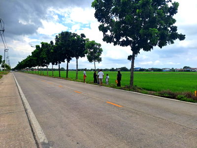 ที่ดิน ลำลูกกา ปทุมธานี : ขายที่ดิน 15 ไร่ ลำลูกกา ปทุมธานี