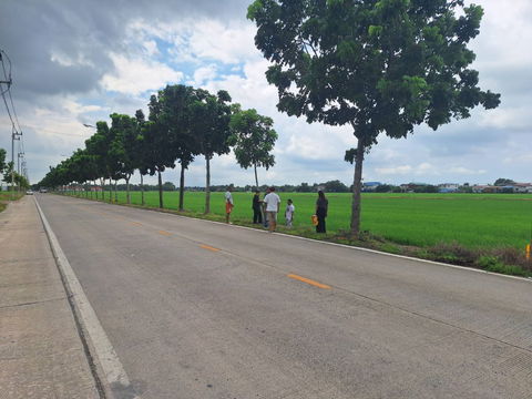 ขายที่ดิน 15 ไร่ ลำลูกกา ปทุมธานี
