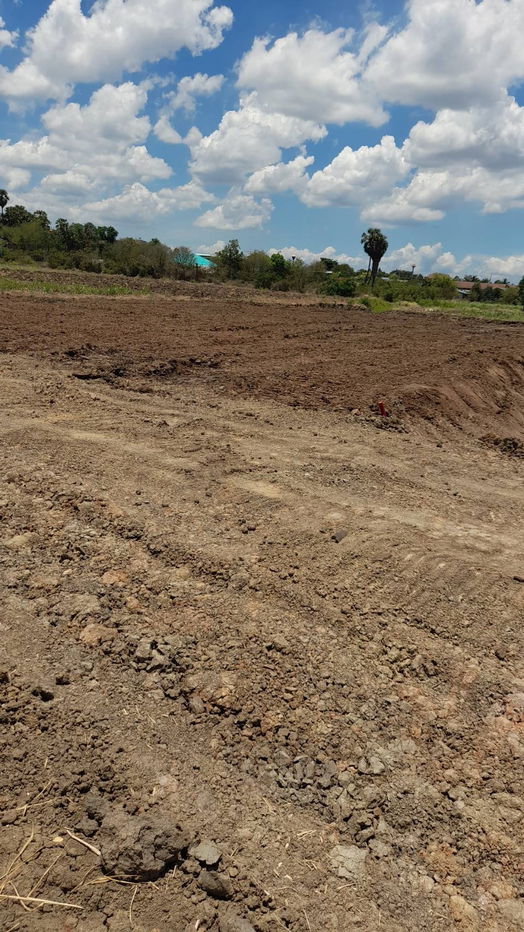 picture Land for sale in Kamphaeng Saen Distric, Nakhon Pathom Province - 3/12