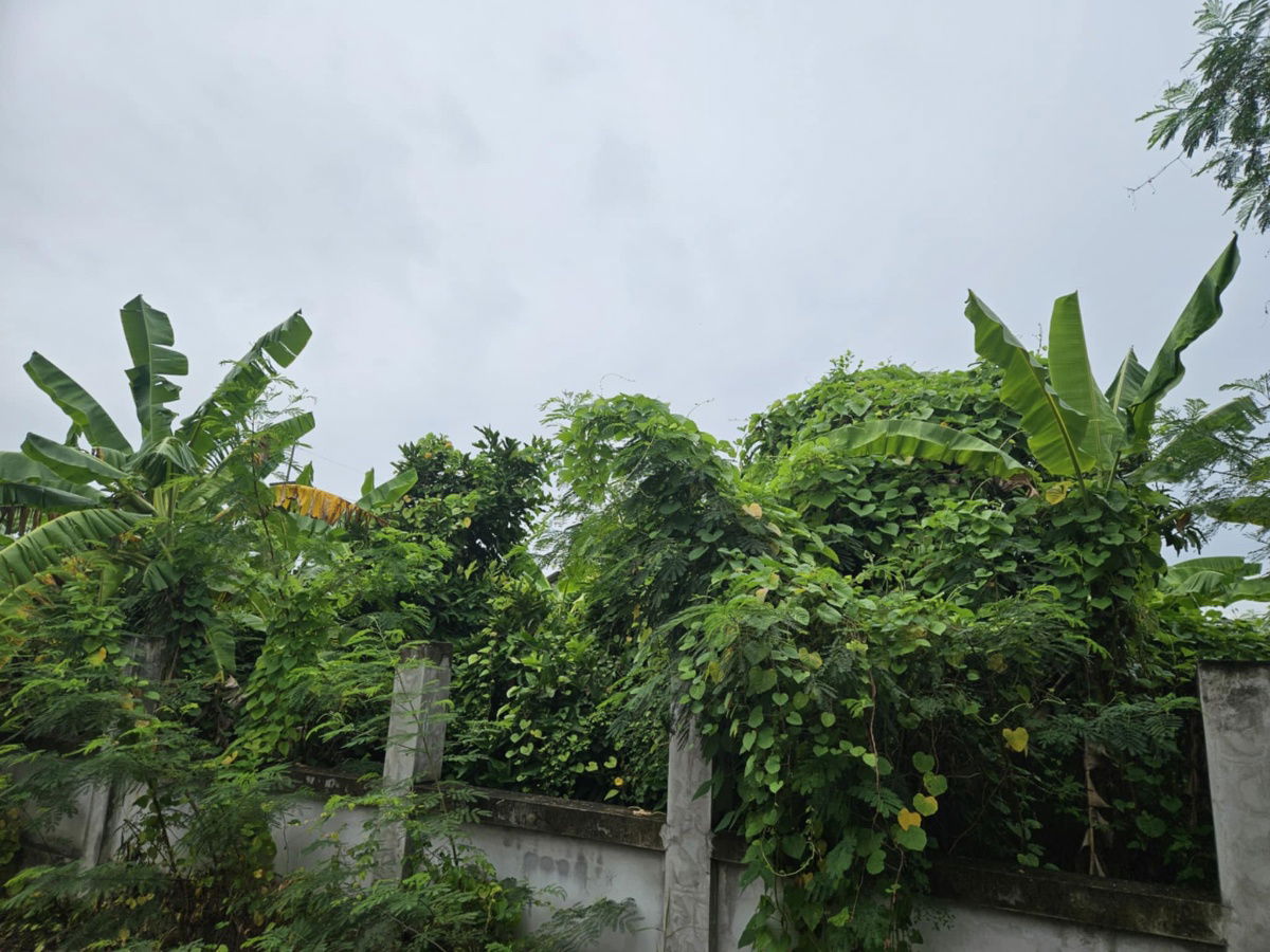 รูป ขายที่ดิน ถมเสร็จ พร้อมรั้วคอนกรีตอยากดี พิกัด หนองนกไข่ สามพราน นครปฐม - รูปที่ 5/6