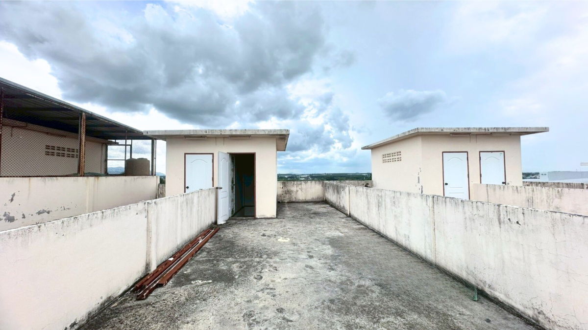 picture Commercial building Amata City Industrial Estate Rayong  4.2 km - 8/11