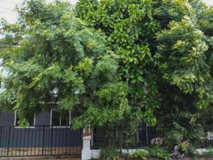 picture 🔥Hot​Deal​‼️House For​ Sale | Passorn 19 Watcharpol-Wongwaen - 2/14