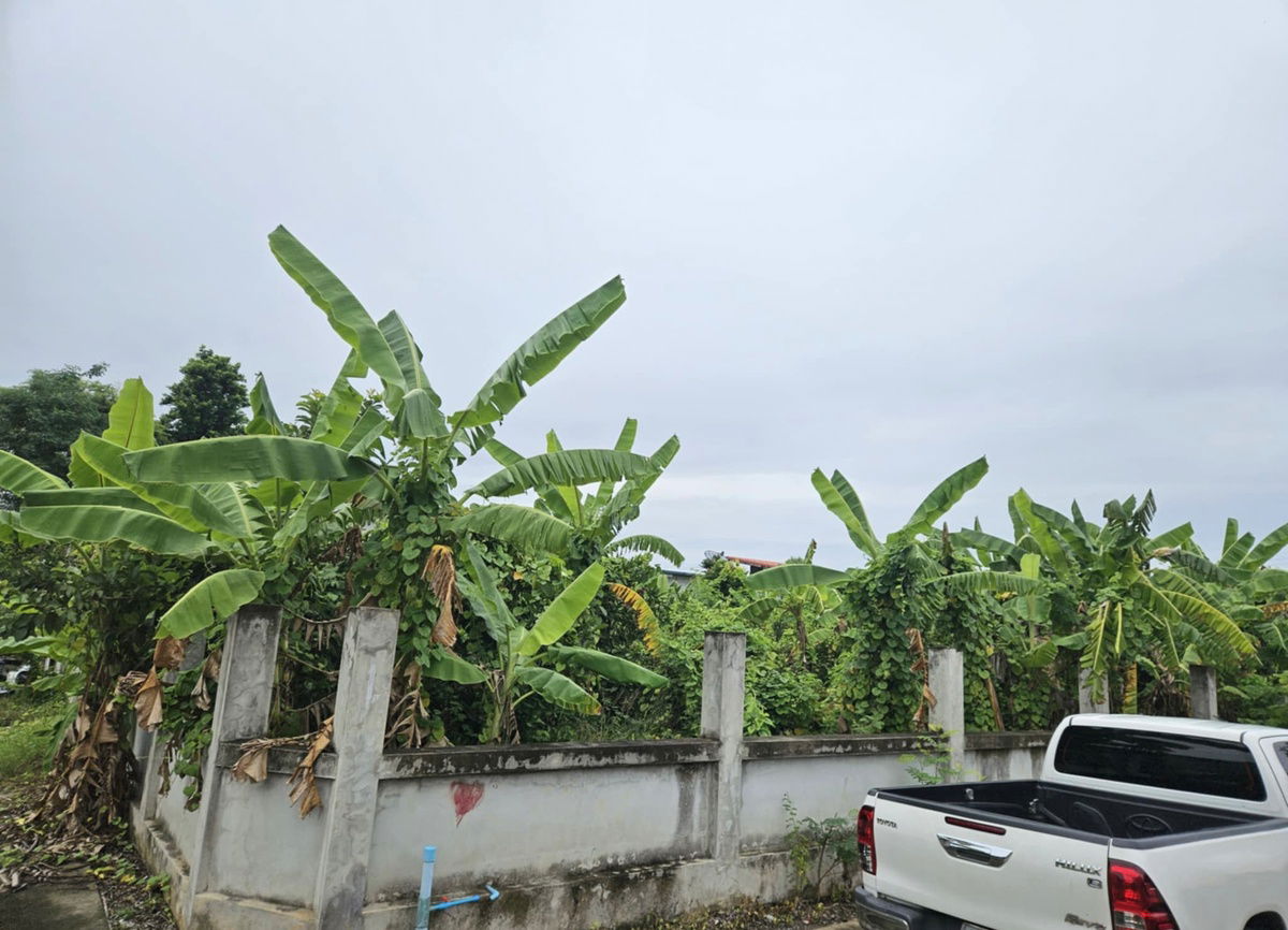 รูป ขายที่ดิน ถมเสร็จ พร้อมรั้วคอนกรีตอยากดี พิกัด หนองนกไข่ สามพราน นครปฐม - รูปที่ 2/6