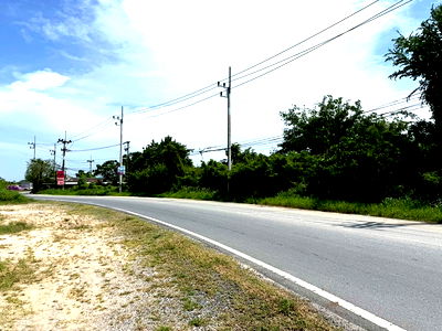 ที่ดิน วิทยาลัยนครราชสีมา : ขาย ที่ดิน ME380 ผังEEC สีส้ม เหมาะบ้านจัดสรร  หนองกะขะ พานทอง ชลบุรี . 4 ไร่ 1 งาน 81 ตรว ทำเลดี ใกล้อมตะชลบุรี ถนนศุขประยูร เพียง 350 m.