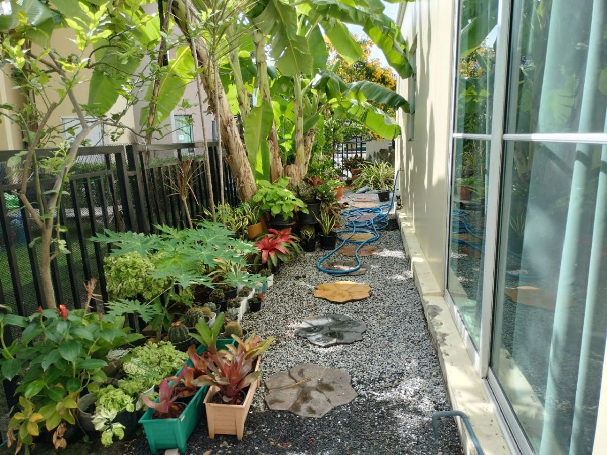 รูป 🏡ขายบ้านแฝด พฤกษา เทพารักษ์-เมืองใหม่โครงการ 1 สมุทรปราการ - รูปที่ 12/17
