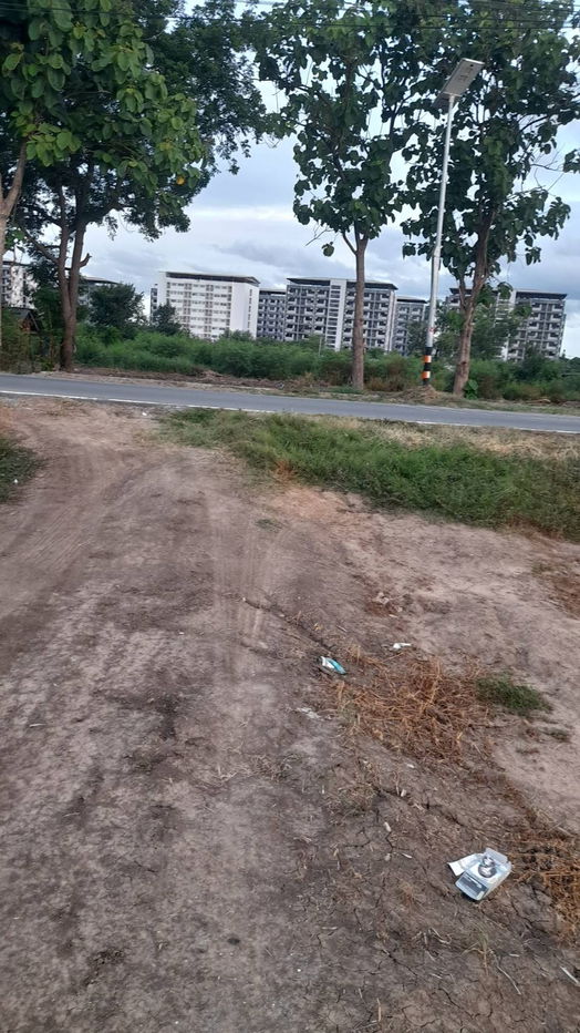 picture Land for sale in Kamphaeng Saen Distric, Nakhon Pathom Province - 7/12