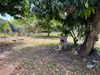 listing thumbnail image 31